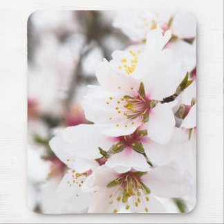 Almond blooming mouse pad