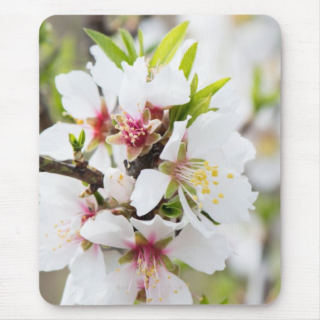 Almond blooming mouse pad (Front)