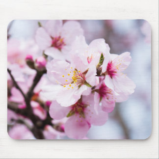 Almond blooming mouse pad