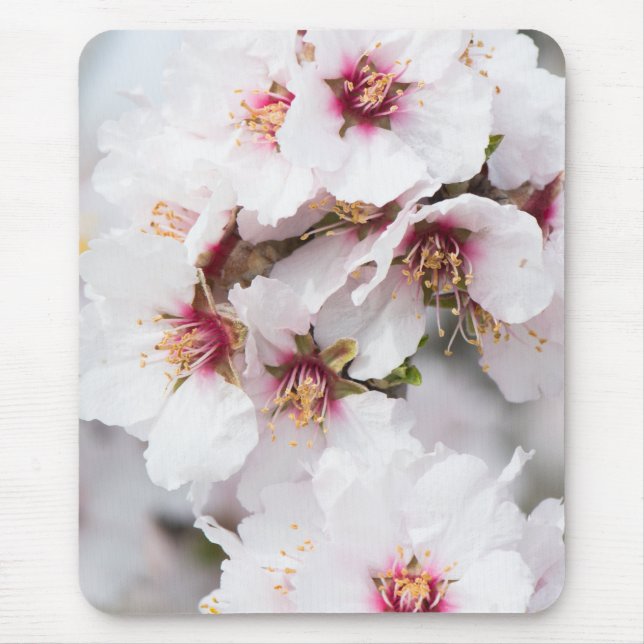 Almond blooming mouse pad (Front)