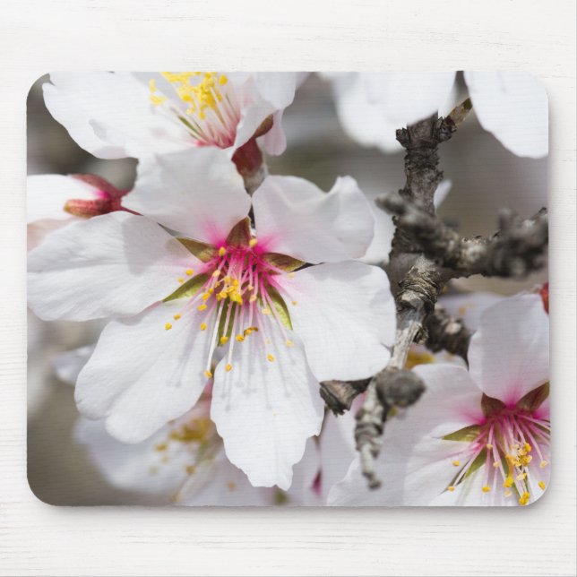Almond blooming mouse pad (Front)