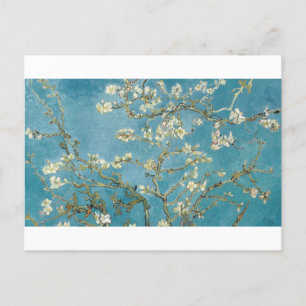 Almond Blossom by Vincent van Gogh Postcard