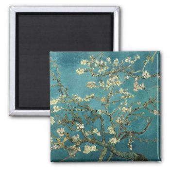 Almond Blossom Magnet by vintage_gift_shop at Zazzle
