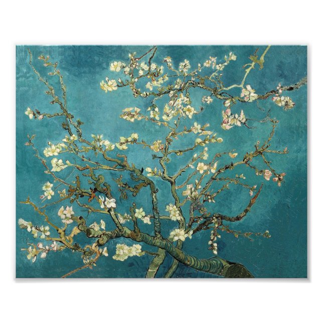 Almond Blossom Photo Print (Front)