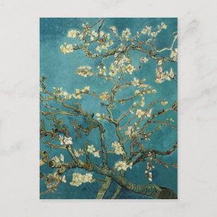 Almond Blossom Postcard