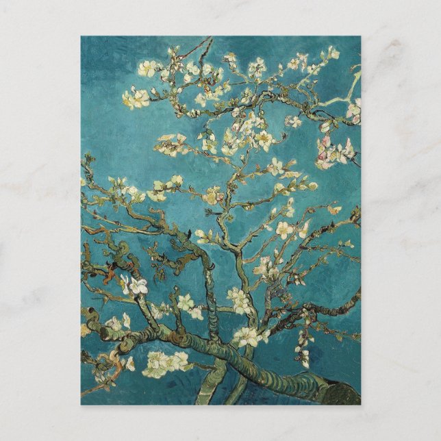 Almond Blossom Postcard (Front)