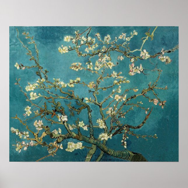 Almond Blossom Poster (Front)