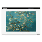 Almond Blossom