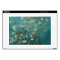 Almond Blossom