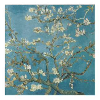 Almond Blossom Tree Acrylic Print