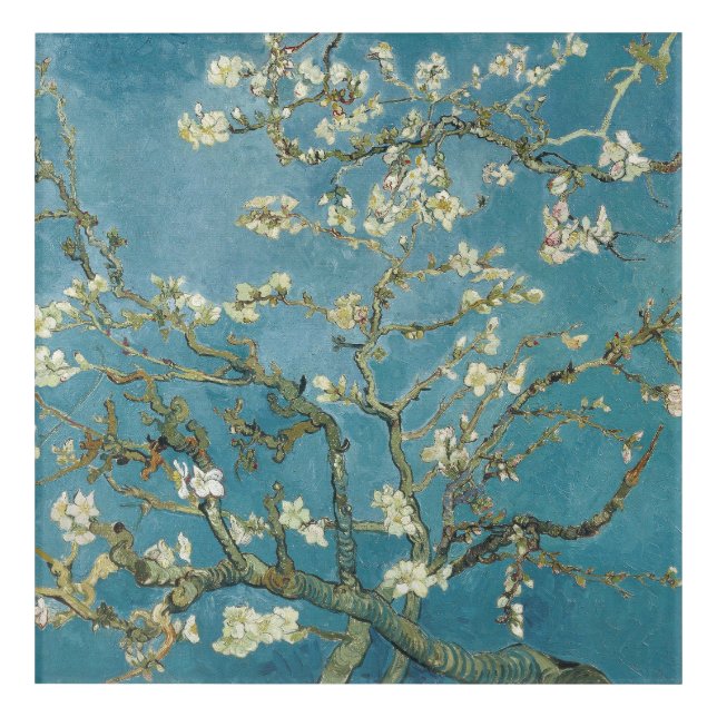 Almond Blossom Tree Acrylic Print (Front)