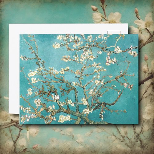 Almond blossom Van Gogh  Postcard