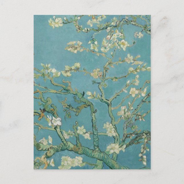 Almond Blossom  Vincent van Gogh 1890 Postcard (Front)