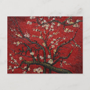Almond Blossom Vincent Van Gogh Postcard