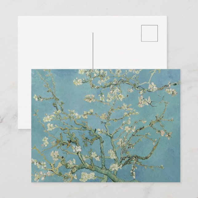 Almond Blossom: Vincent Van Gogh  Postcard (Front/Back)