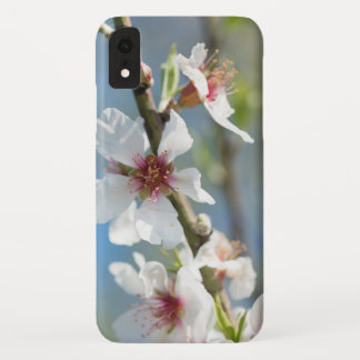 Almond blossoming iPhone XR case
