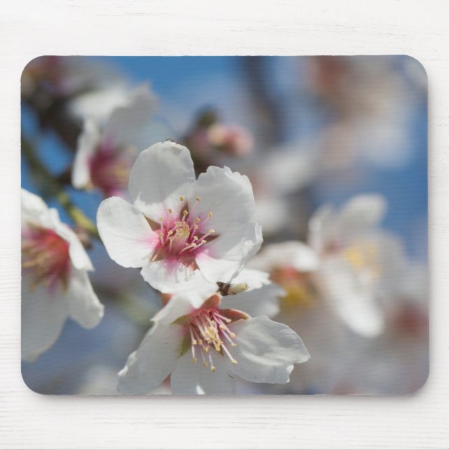 Almond blossoming mouse pad (Front)