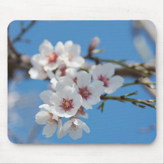 Almond blossoming mouse pad