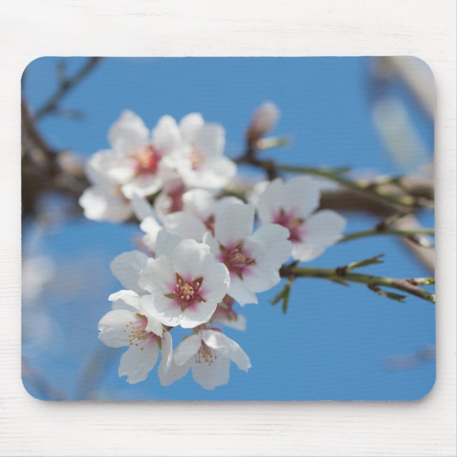 Almond blossoming mouse pad (Front)