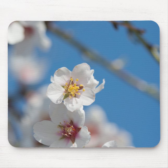 Almond blossoming mouse pad (Front)