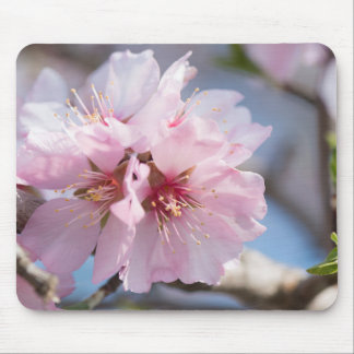 Almond blossoming mouse pad