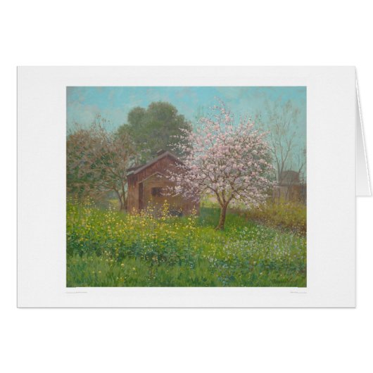 Almond Blossoms and Wild Mustard (1152) (Front Horizontal)