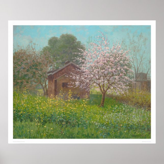 Almond Blossoms and Wild Mustard (1152) Poster (Front)