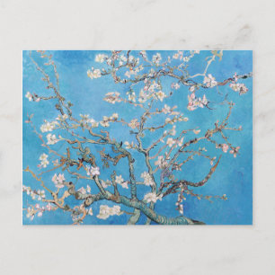 Almond Blossoms Blue Vincent van Gogh Art Painting Postcard