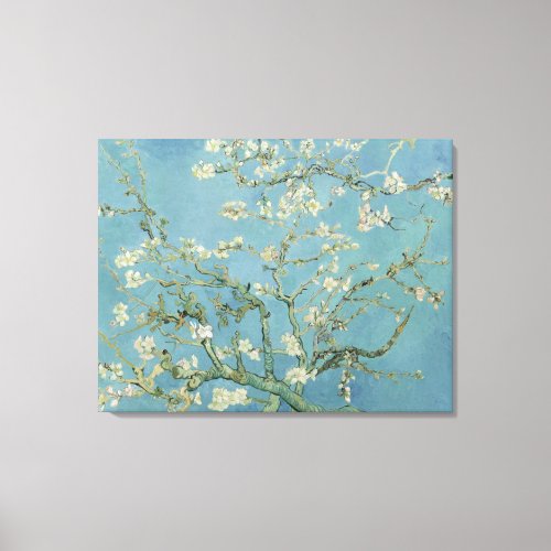 Almond Blossoms by Vincent Van Gogh Canvas Print