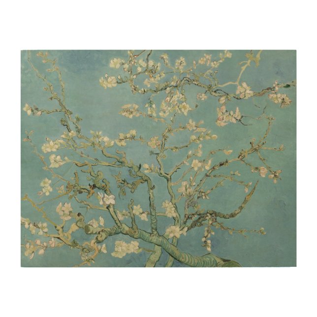 Almond Blossoms by Vincent Van Gogh Fine Art (Front)