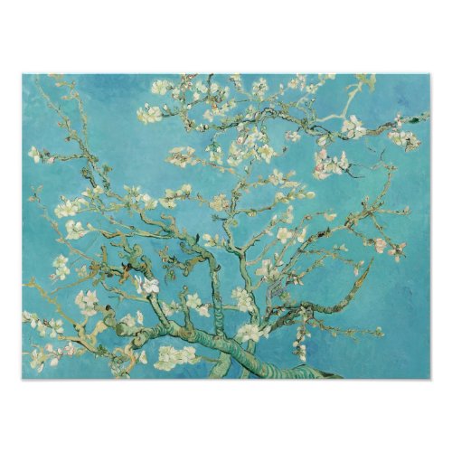 Almond Blossoms by Vincent Van Gogh Fine Art Photo Print