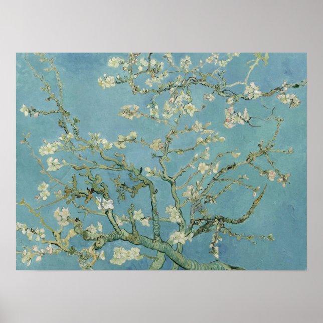 Almond Blossoms by Vincent Van Gogh Fine Art Poster (Front)