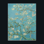 Almond Blossoms by Vincent van Gogh Postcard<br><div class="desc">Almond Blossoms from is a group of several paintings made in 1888 and 1890 by Vincent van Gogh in Arles and Saint-Rémy, southern France of blossoming almond trees. Flowering trees were special to Van Gogh. They represented awakening and hope. He enjoyed them aesthetically and found joy in painting flowering trees....</div>