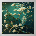 Almond Blossoms Flower Art Print Poster