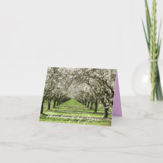 Almond Blossoms Notecard