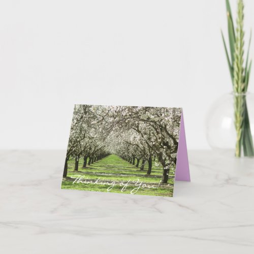 Almond Blossoms Notecard