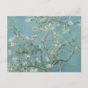 Almond Blossoms Painting By Van Gogh Holiday Postcard by decodesigns at Zazzle