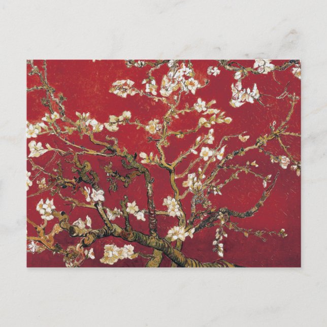 Almond Blossoms Red Vincent van Gogh Art Painting Postcard (Front)