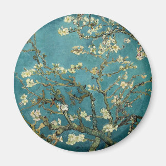 Almond Branches in Bloom Magnet