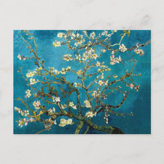 Almond Branches in Bloom Post Card