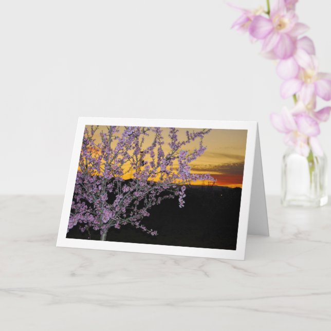 Almond Tree at Night Card (Orchid)