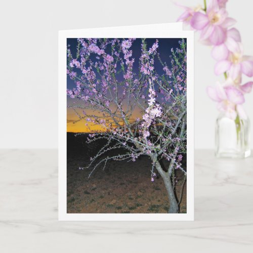 Almond Tree at Night Card