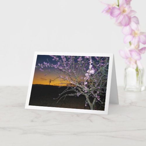 Almond Tree at Night Portrait Card