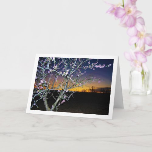 Almond Tree at Night Portrait Card