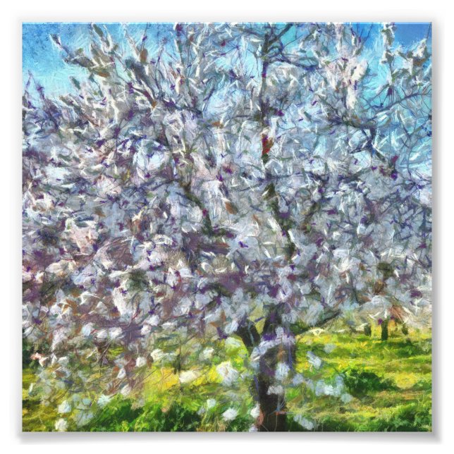 Almond Tree Blossom Dotted Art Style Painting Photo Print (Front)