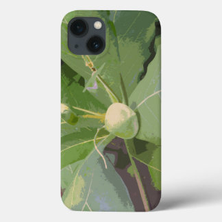 Almond Tree Closeup iPhone 13 Case