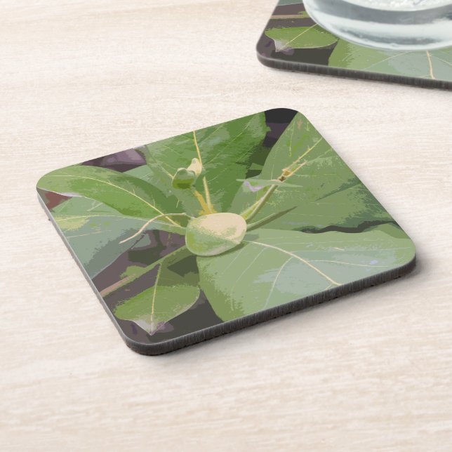 Almond Tree Closeup Drink Coaster (Left Side)
