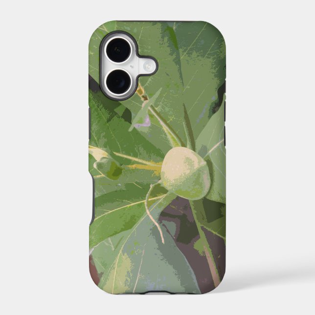 Almond Tree Closeup Iphone Case (Back)