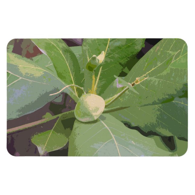 Almond Tree Closeup Magnet (Horizontal)