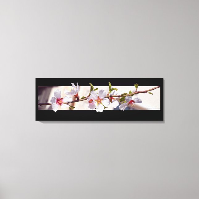 almond tree flower blossom wrapped canvas print (Front)